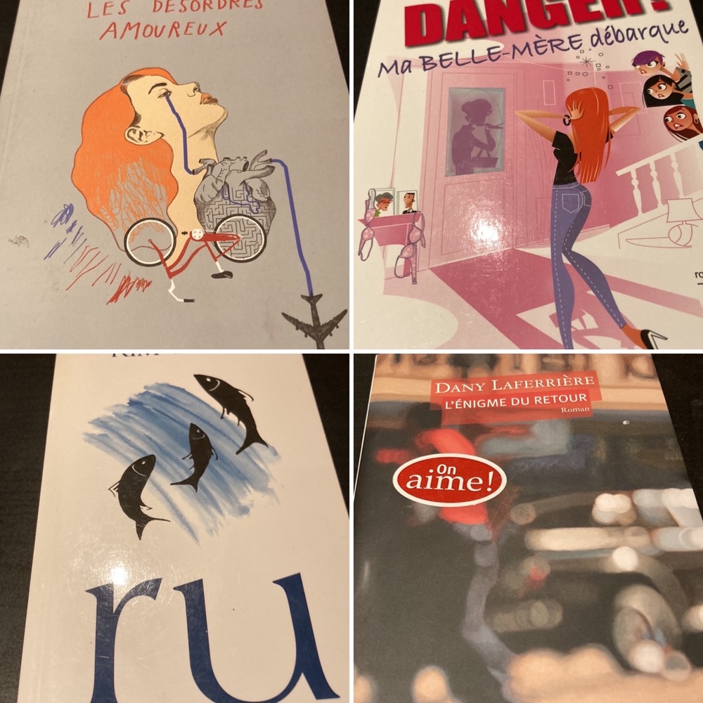 Romans québécois lot